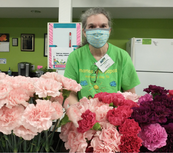 Volunteer stands behind an array of pink carnations.